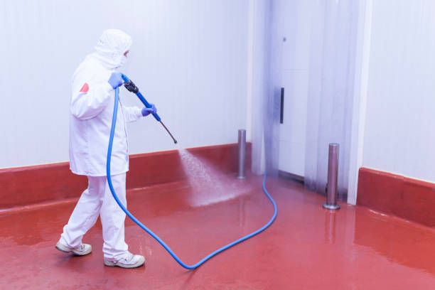 Best Patio and Deck Pressure Washing  in Warren, IN