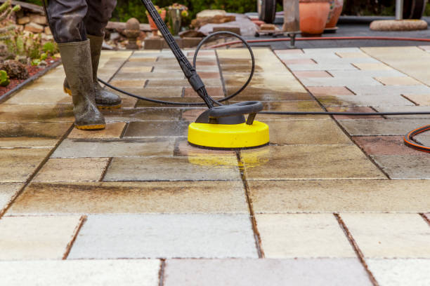 Best Spring Cleaning  in Warren, IN