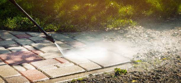 Best Soft Washing  in Warren, IN